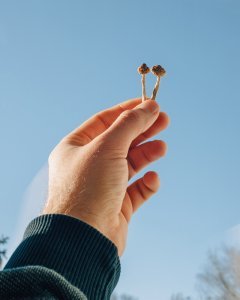 shutterstock_1920974066-240x300-1